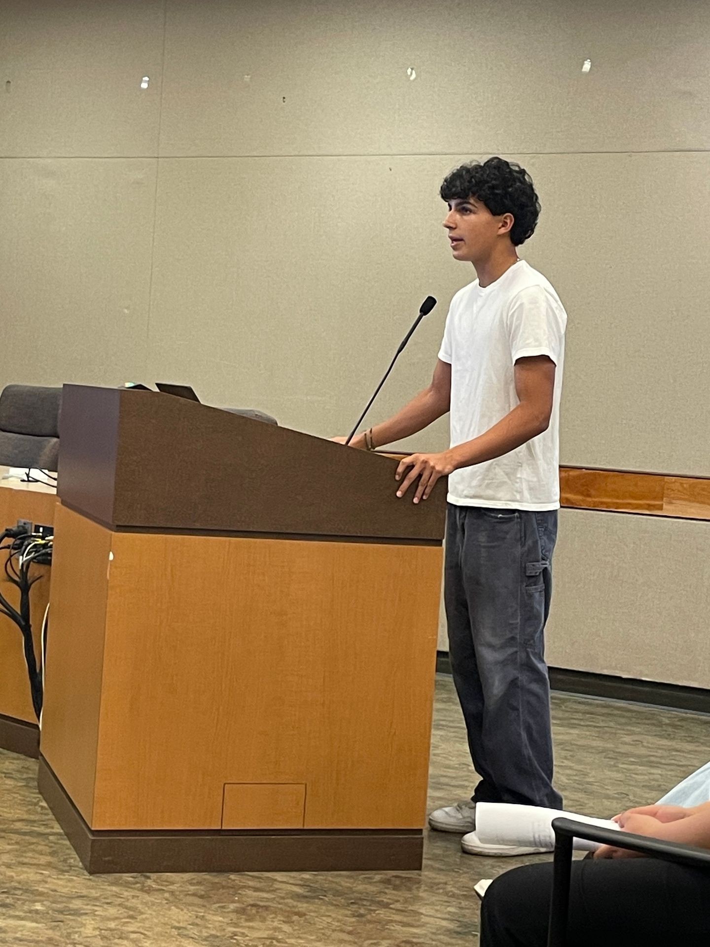 Person standing at a podium, speaking into a microphone in a conference room setting.