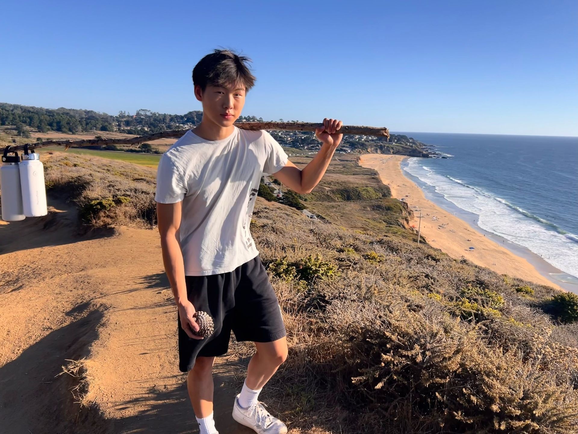 Person holding a stick with a beach and ocean view in the background on a sunny day.